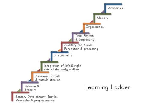 In what order do we learn? - Whole Child Learning & Wellness